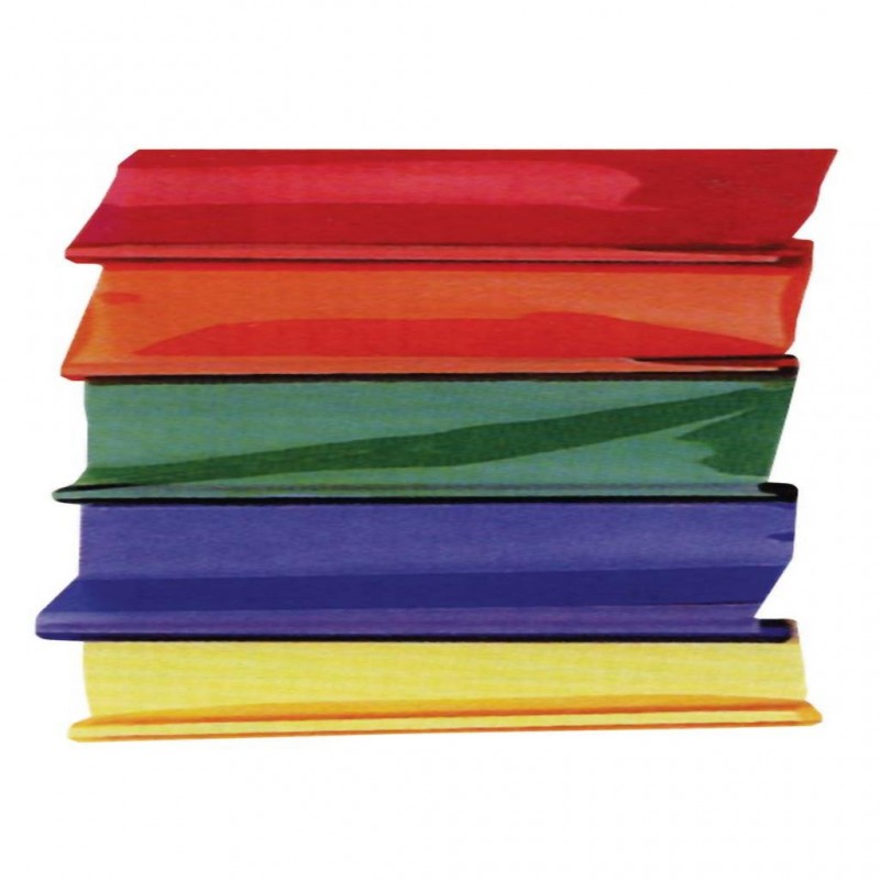 FILTRO HOJA LEE122S 122x50 ROSA