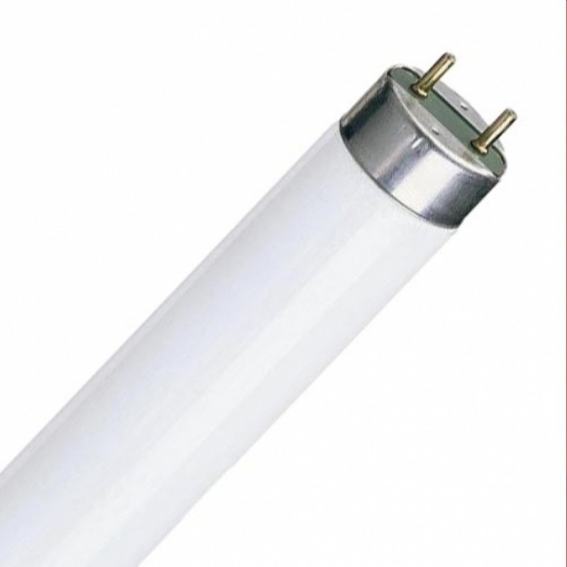 TUBO FLUORESCENTE DAYLIGHT 865 1A. MARCA 14W.G13