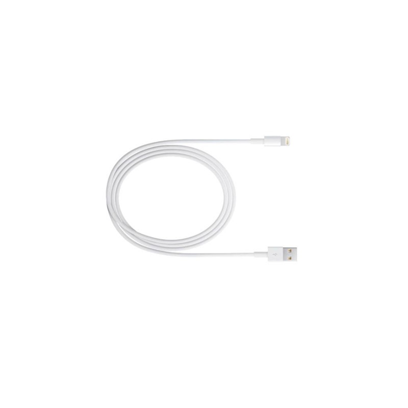 CONEXION IPHONE 5 USB UN-30