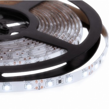 TIRA 33 LEDS-50C.IBIZA FRIO 6K