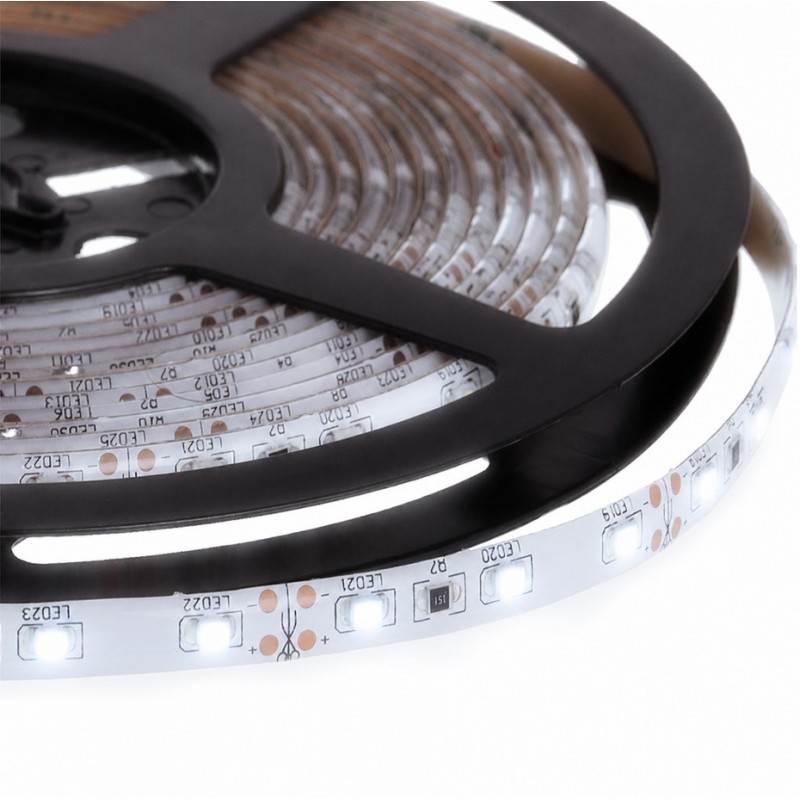 TIRA 33 LEDS-50C.IBIZA FRIO 6K